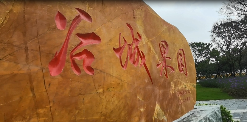 谷城矿业直播：走进“谷城果园”！